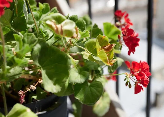 White Door Heart Of 4 *